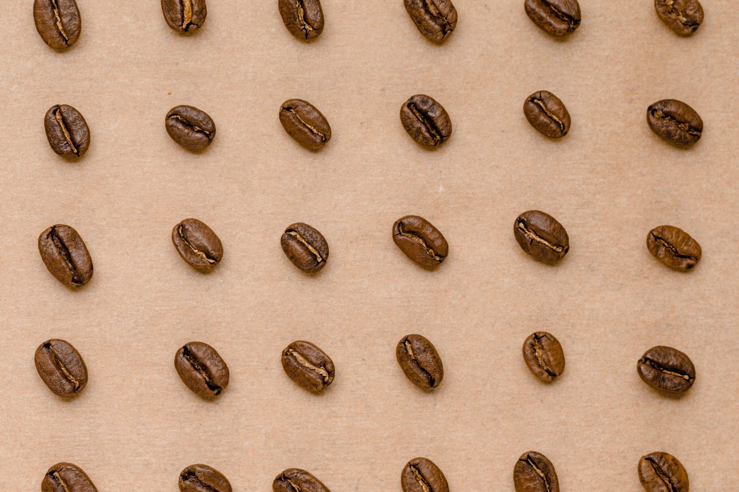 Coffee beans arranged in rows on a brown background