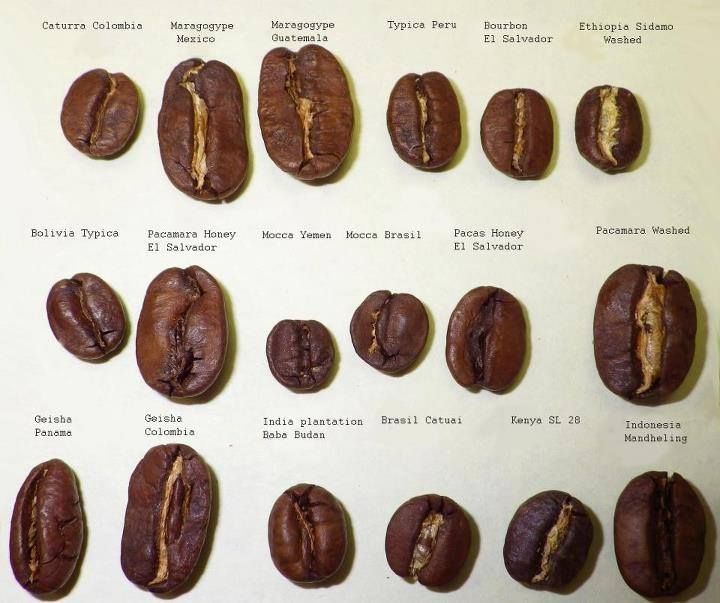 coffee flavour pairings with south american coffee
